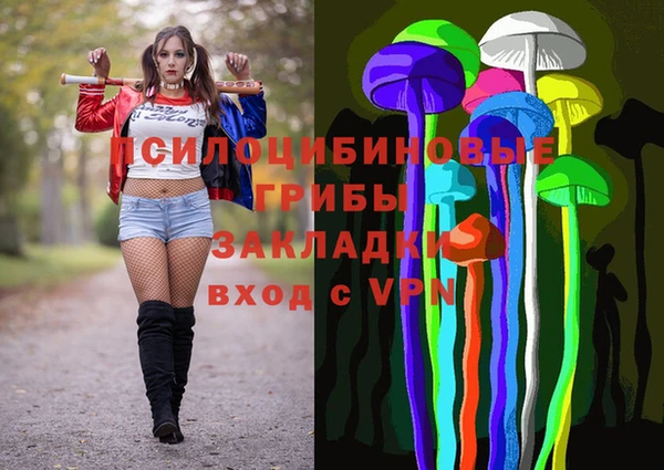 круглые Бронницы