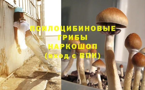 круглые Бронницы